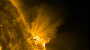 Vortici mai visti nelle prime immagini del Sole ad alta risoluzione