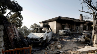 El incendio de Madrid est&aacute; "pr&aacute;cticamente sin llamas", afirman las autoridades