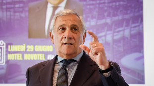 Tajani, 'Egitto ha assicurato collaborazione per soluzione rapida per Nessy'