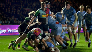 Coupe d'Europe de rugby: Castres sort la t&ecirc;te haute