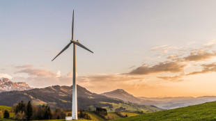 Enel compra in Italia impianto eolico da 84 Mw