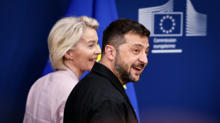 Ukraine: Zelensky et les dirigeants europ&eacute;ens attendus ensemble &agrave; la Maison Blanche