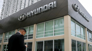 Hyundai invertir&aacute; USD 21.000 millones en EEUU, anuncia su director