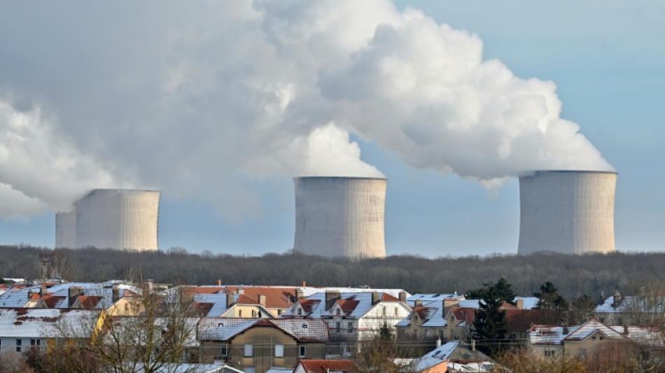 La France accueille un sommet &agrave; Paris pour concr&eacute;tiser la relance du nucl&eacute;aire 