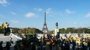 Agricultores protestam em Paris contra acordo UE-Mercosul