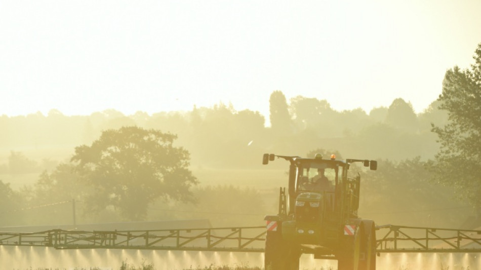 Glyphosate dans l'UE: pas d'accord sur une r&eacute;autorisation, nouveau vote en novembre