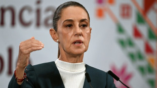 Mexican president hails progress in trade talks with US