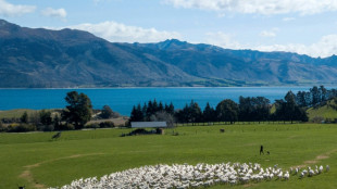 Court case challenges New Zealand's 'magical thinking' climate plans