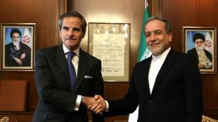 UN watchdog chief says Iran 'not far' from nuclear bomb