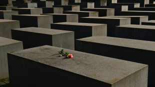 Deutschland und Israel k&uuml;ndigen UN-Resolution gegen Holocaust-Leugnung an