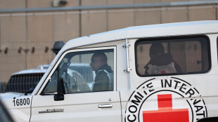 La Croce Rossa sospende l'attivit&agrave; a Gaza City