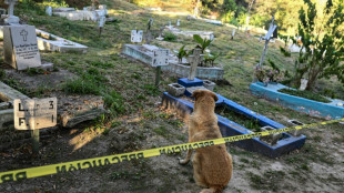 México acelera busca por desaparecidos no maior cemitério do país