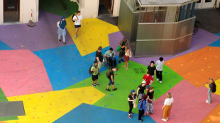 Keeping cool with colours -- Vienna museum paints asphalt to fight heat