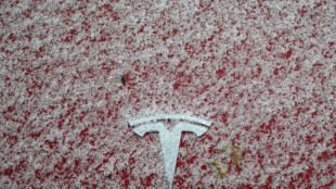 Erstmals in Europa: Niederlande erlauben Nutzung von Tesla-Selbstfahrfunktion