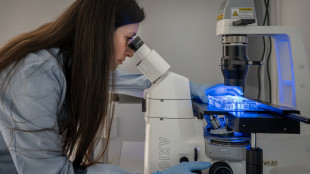 A Bolzano ricerca su organoidi per la medicina della prevenzione