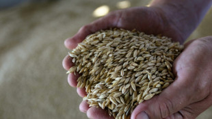 R&uacute;ssia quer redefinir as rotas do trigo