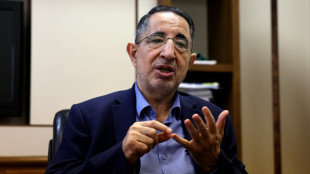 Hezbollah MP to AFP: direct Lebanon-Israel talks a 'grave error'