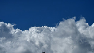 Apr&egrave;s le Covid, les compagnies a&eacute;riennes "prudemment optimistes", selon leur chef