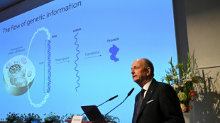Los ganadores del Nobel de Medicina en los &uacute;ltimos diez a&ntilde;os