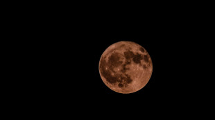 Nasa, 'non andiamo sulla Luna senza l'Esa e i nostri partner europei'