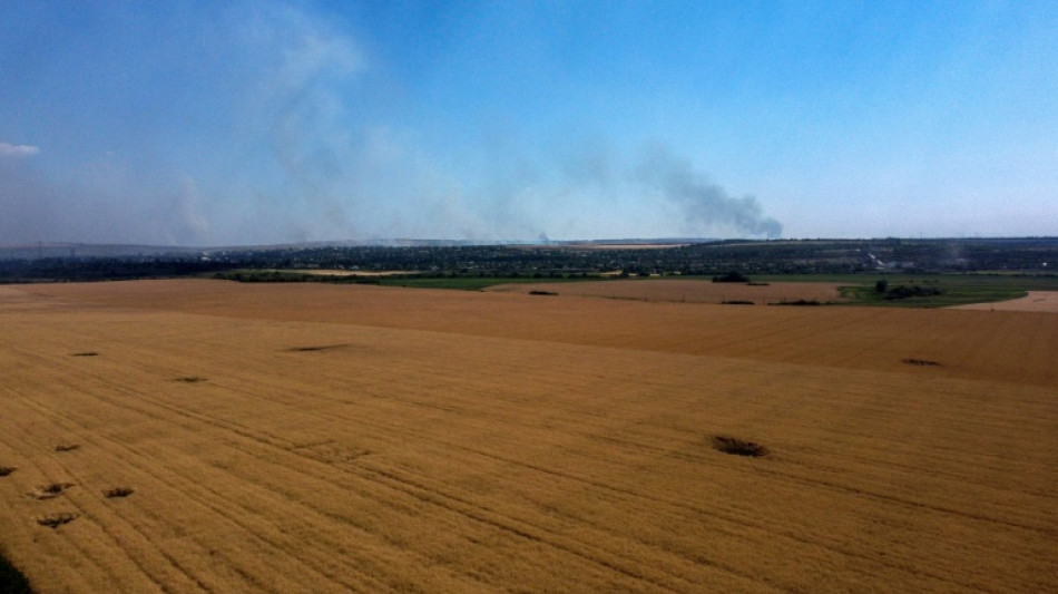 Russia and Ukraine seek to break grain impasse in Turkey