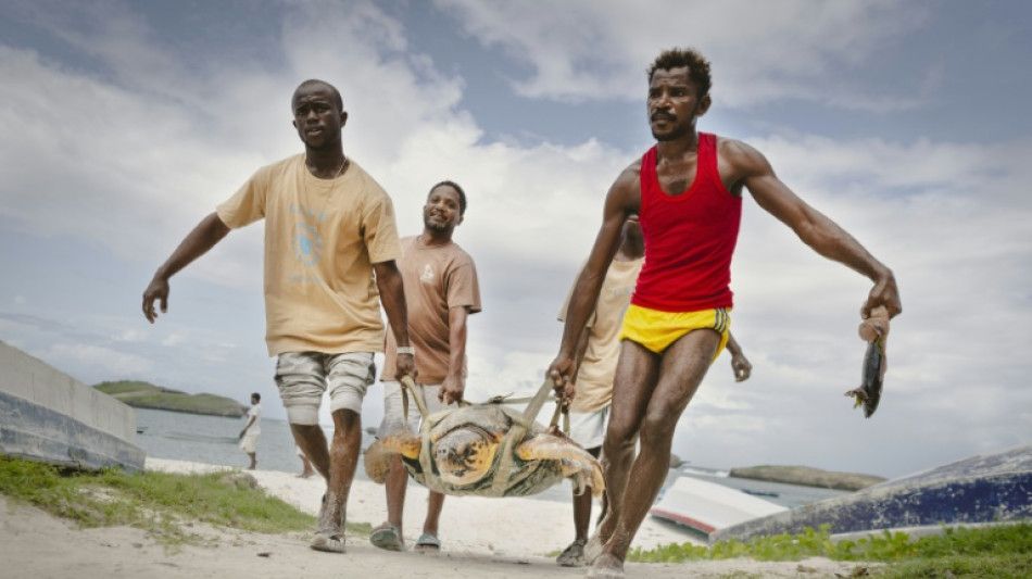 Una pequeña oenegé de Kenia logra salvar miles de tortugas