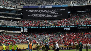 Palmeiras v Al Ahly Club World Cup clash suspended for weather