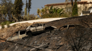 El mort&iacute;fero incendio del sur de Espa&ntilde;a presenta evoluci&oacute;n "favorable"