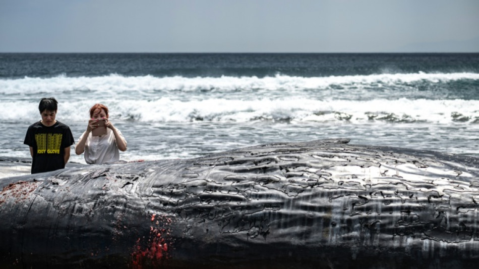 Japan lifts tsunami advisory after Russia quake