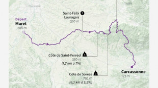 La 15e &eacute;tape du Tour de France: place aux baroudeurs