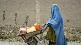 La ONU lanza una investigaci&oacute;n sobre violaciones de los DDHH en Afganist&aacute;n