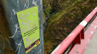 Los suicidios representan una muerte de cada cien en el mundo, seg&uacute;n la OMS