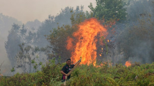 Indon&eacute;sie : pr&egrave;s de deux millions d'hectares de for&ecirc;ts br&ucirc;l&eacute;s en 2026 jusqu'en septembre