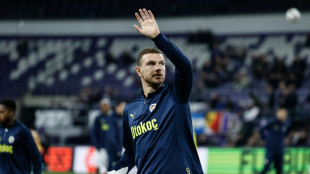 Aos 39 anos, Dzeko retorna &agrave; Serie A com a Fiorentina