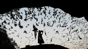 Une plan&egrave;te plus chaude, des animaux plus malades 