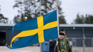 Sweden to boost defence spending $30 bn over a decade