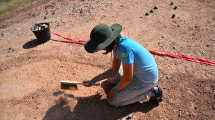 A "Eggs-en-Provence", une pouponnière à dinosaures unique au monde