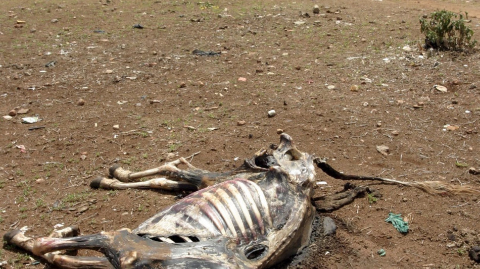 La siccit&agrave; 'motore' delle migrazioni in Somalia