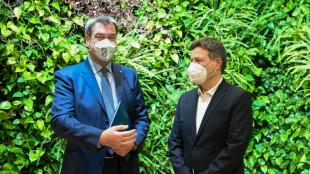 S&ouml;der will &uuml;ber Ausnahmen bei bayerischen Windrad-Abstandsregeln sprechen