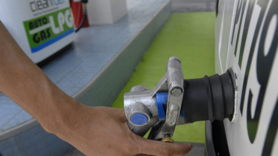 La expansi&oacute;n de plantas a gas en el sudeste asi&aacute;tico amenaza la transici&oacute;n energ&eacute;tica