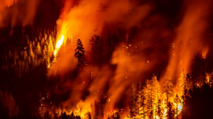 Massive fire burns on mountain near western Canada city