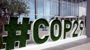 Crece el temor a un bloqueo sobre el financiamiento clim&aacute;tico a dos meses de la COP29