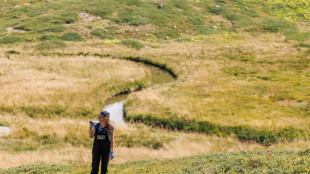 Scientist wins 'Environment Nobel' for shedding light on hidden fungal networks