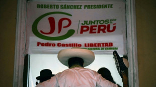 El izquierdista S&aacute;nchez pide anular los votos del extranjero de los resultados electorales en Per&uacute;