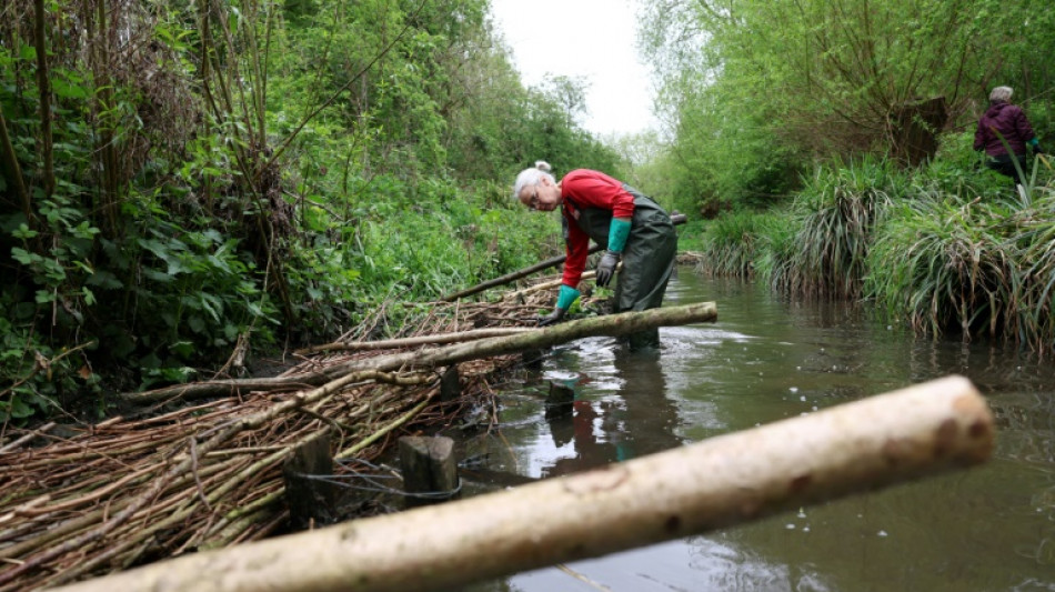 UK towns harness nature to combat rising flood risk