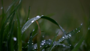 Autour d'Evian, 30 ans d'adaptation des pratiques agricoles pour prot&eacute;ger l'eau min&eacute;rale