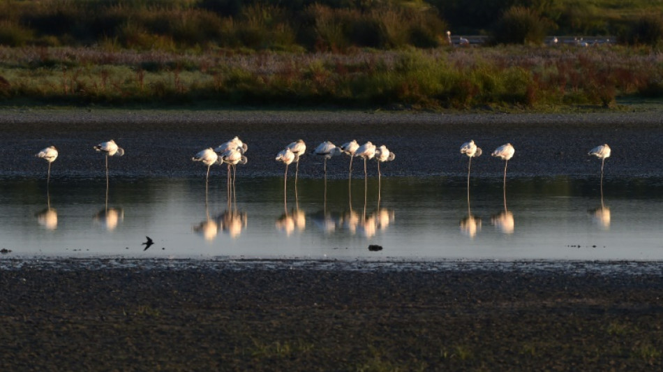Acuerdo para proteger el parque de Do&ntilde;ana, en Espa&ntilde;a