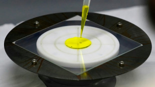 Jap&oacute;n anticipa un futuro brillante para sus paneles solares flexibles