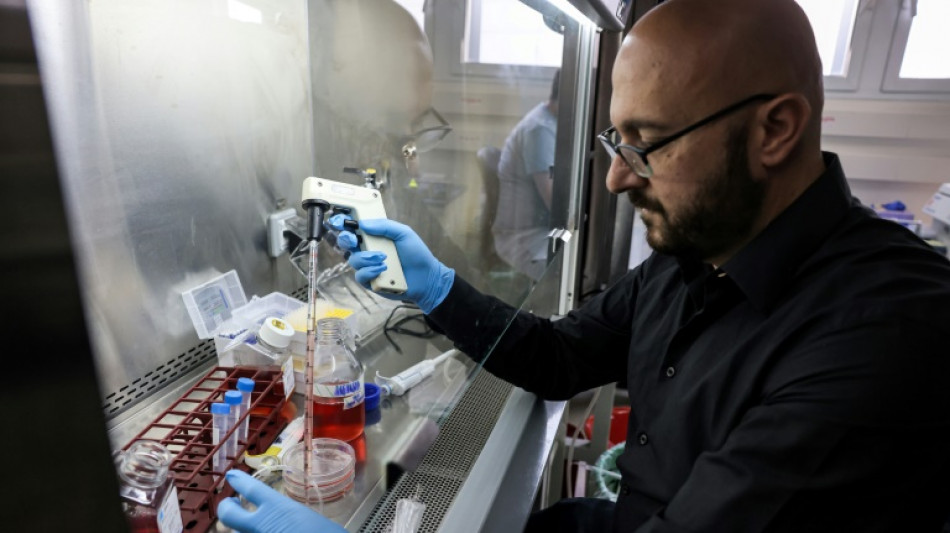 Cient&iacute;ficos afirman que crearon "pseudoembriones" y provocan pol&eacute;mica