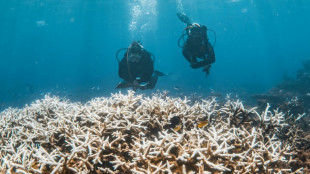 Coral frozen in time throws lifeline for Great Barrier Reef